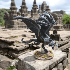 Young Black Dragon